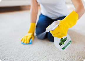 Sanitize Carpet